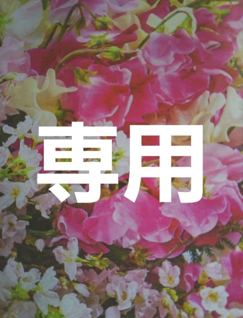 ぶーちゃん3点おまとめ 他の方は購入をお控え下さい