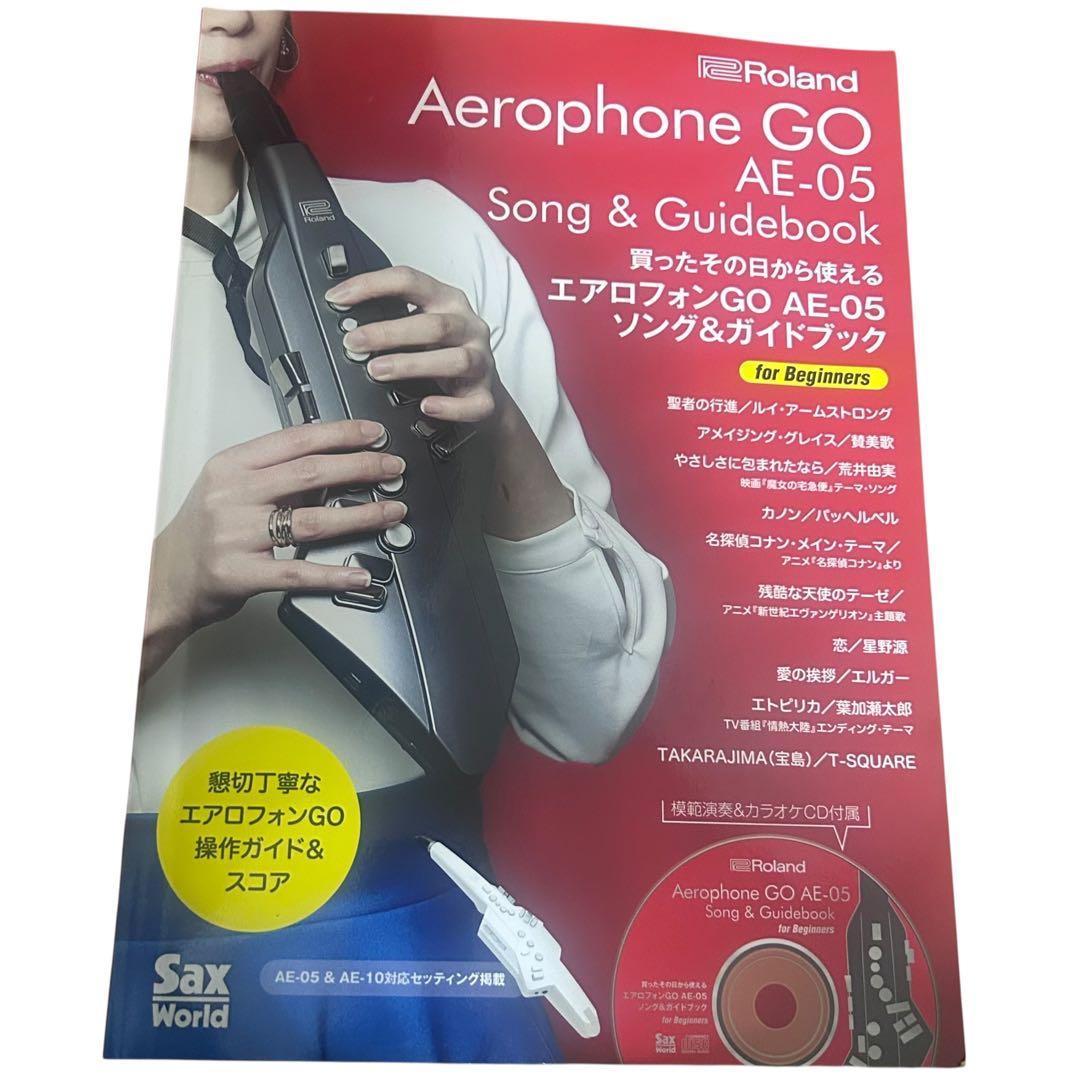 Roland Aerophone エアロフォン AE-05☆