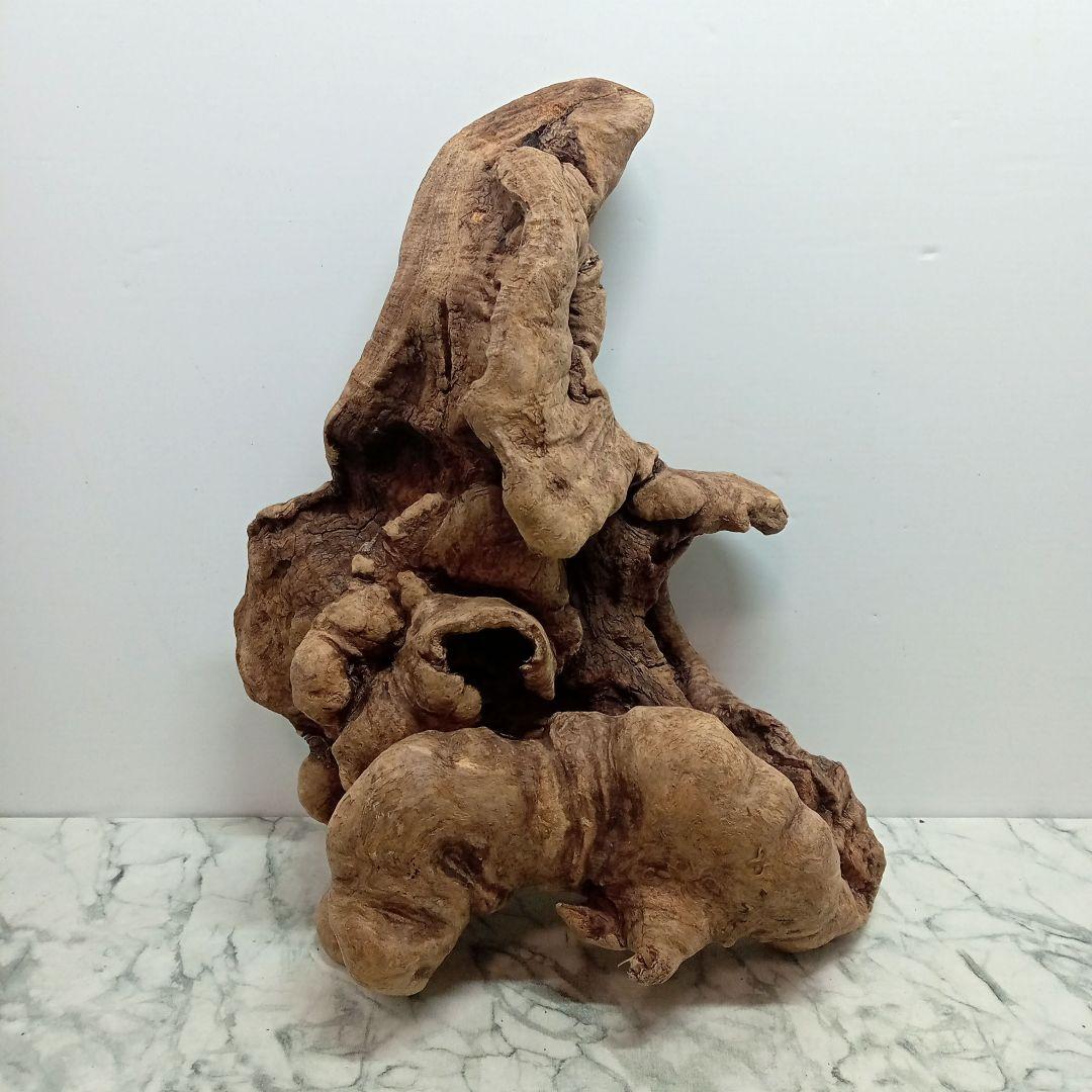 アク抜き済み流木【328】最終価格