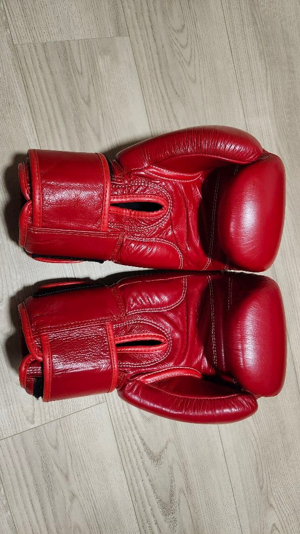 (はちろ様)WINDY ボクシンググローブ 赤