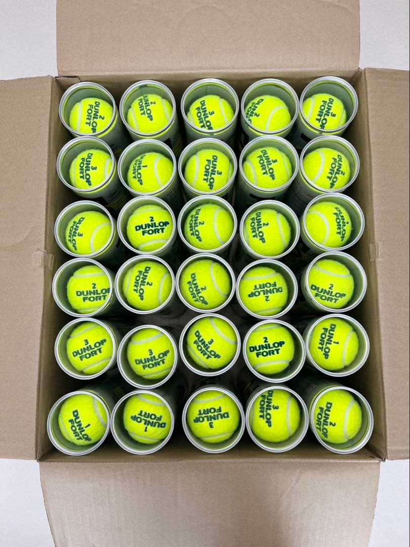 ダンロップ　フォート120球　中古品　NO1