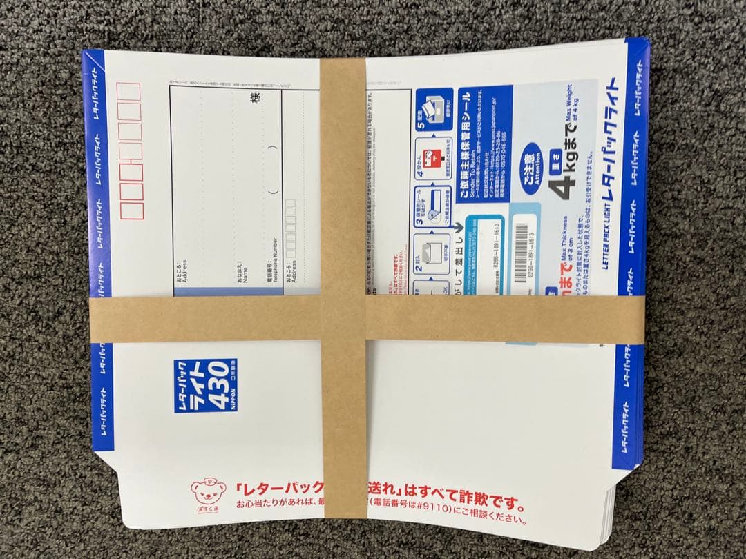 レターパックライト 430mm x 310mm 100枚