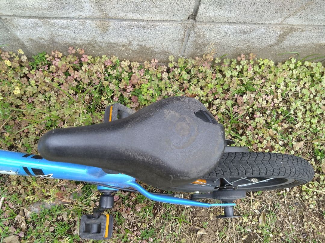 STRIDER 14インチ キッズバイク 青