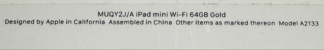ipad mini 5 wi-fi 起動ジャンク