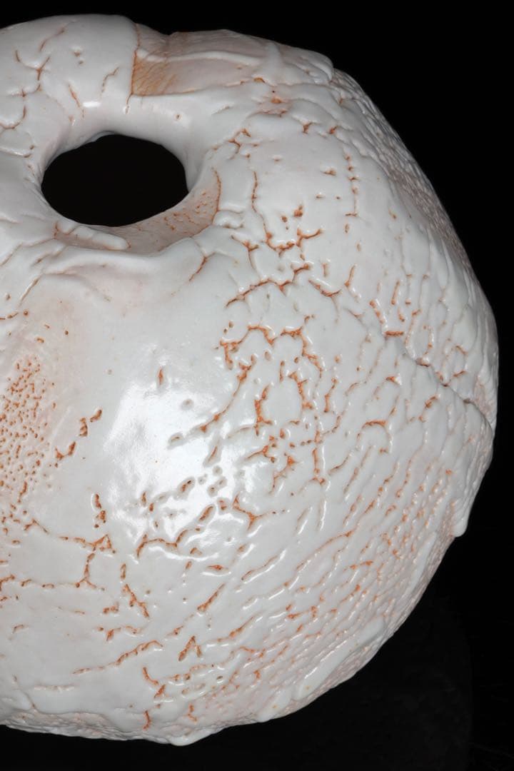 林正太郎 志野壺 共箱 栞付 高さ25㎝ 美濃焼 現代陶芸 花器 飾壺 日本美術