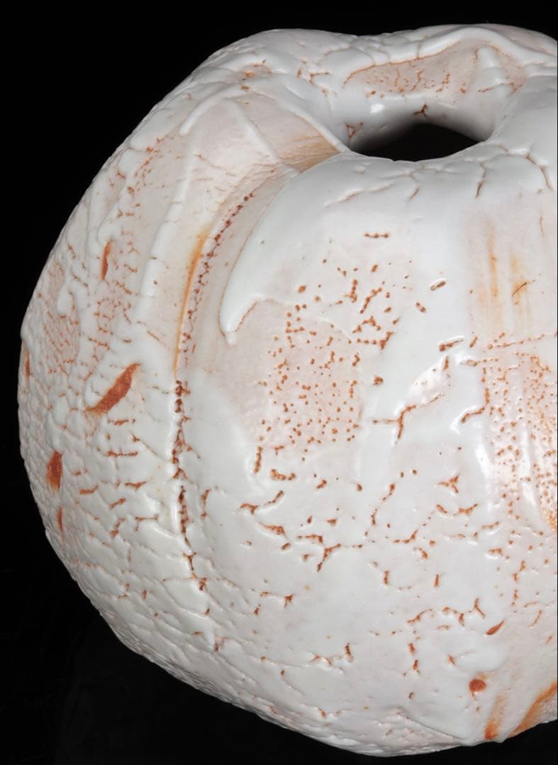 林正太郎 志野壺 共箱 栞付 高さ25㎝ 美濃焼 現代陶芸 花器 飾壺 日本美術