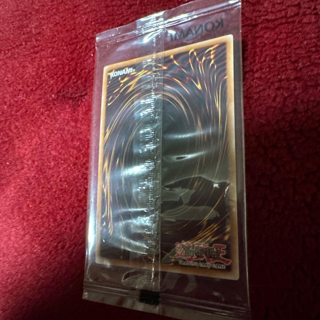 【安心鑑定】遊戯王 x NIKE コラボ レッドアイズブラックドラゴン