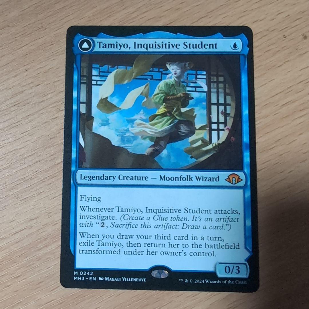 知りたがりの学徒、タミヨウ　英語版　４枚セット