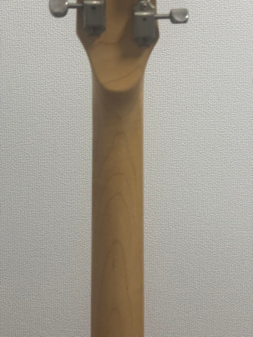 Marine Rider マリンライダー アンプエレキギターアンプ内蔵