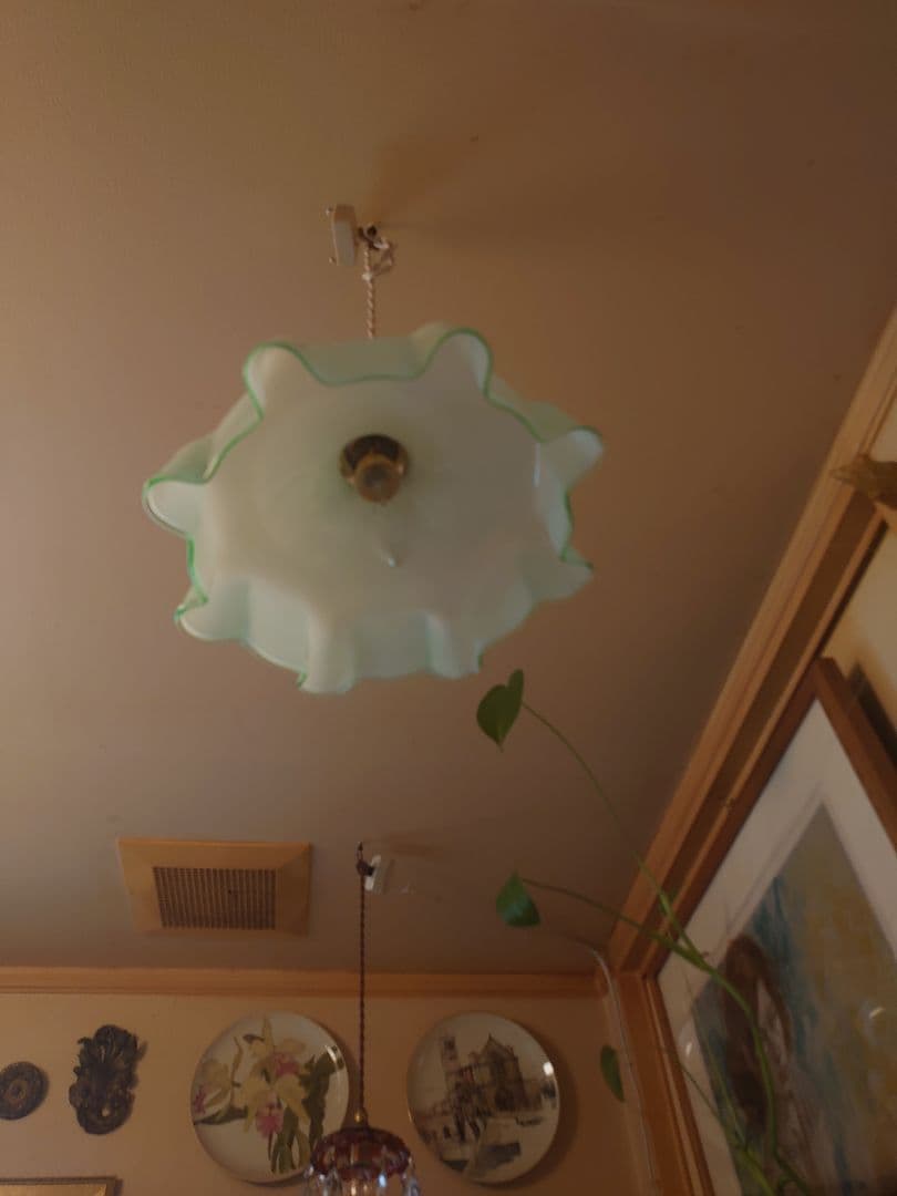 フランス1910s'ヴァセリン(ウラン)ペンダント シーリングランプ