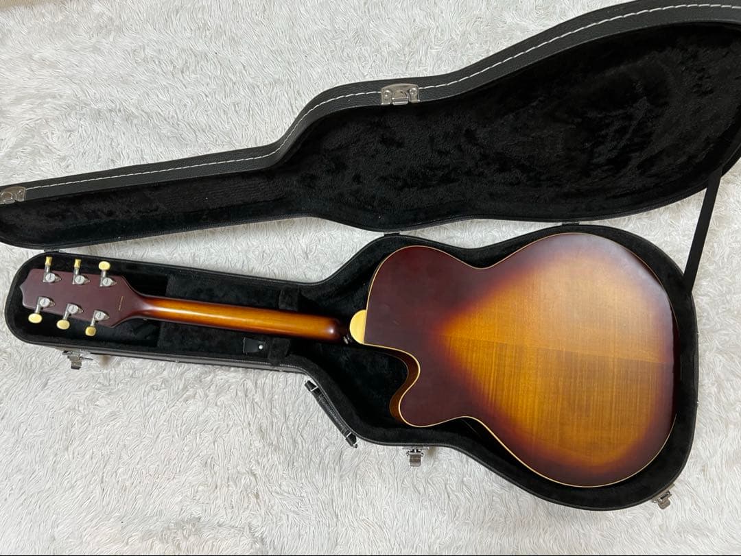 Takamine G Series エレアコ