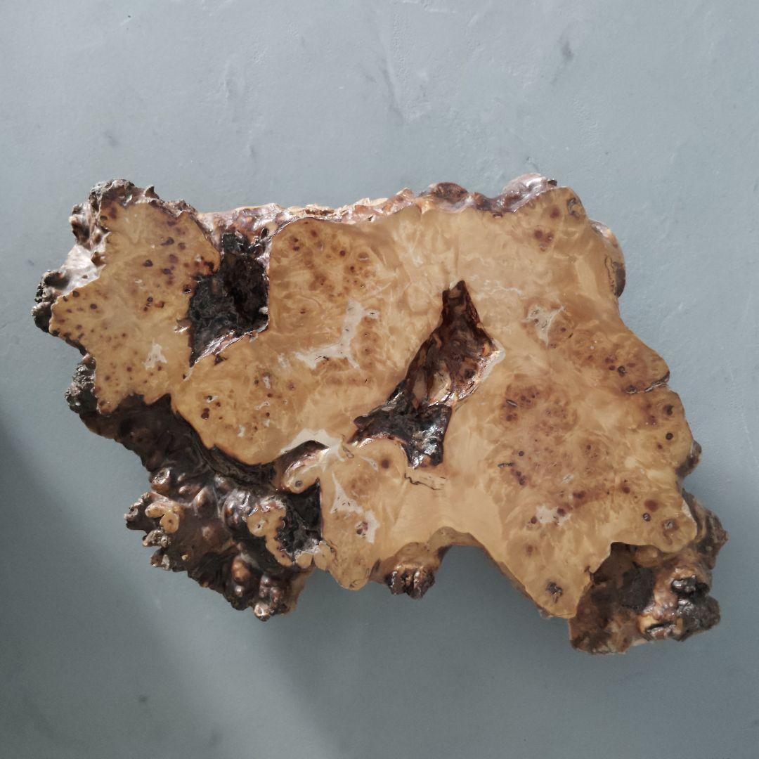 天然木一枚板 瘤台 花台 盆栽台 置き台 飾り台 こぶ 侘び寂び