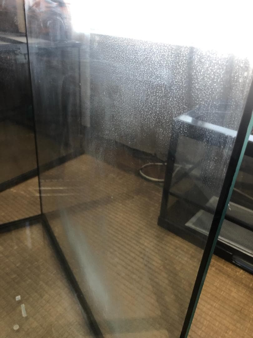 GEX エキゾテラ グラステラリウム 6060 爬虫類 ケージ