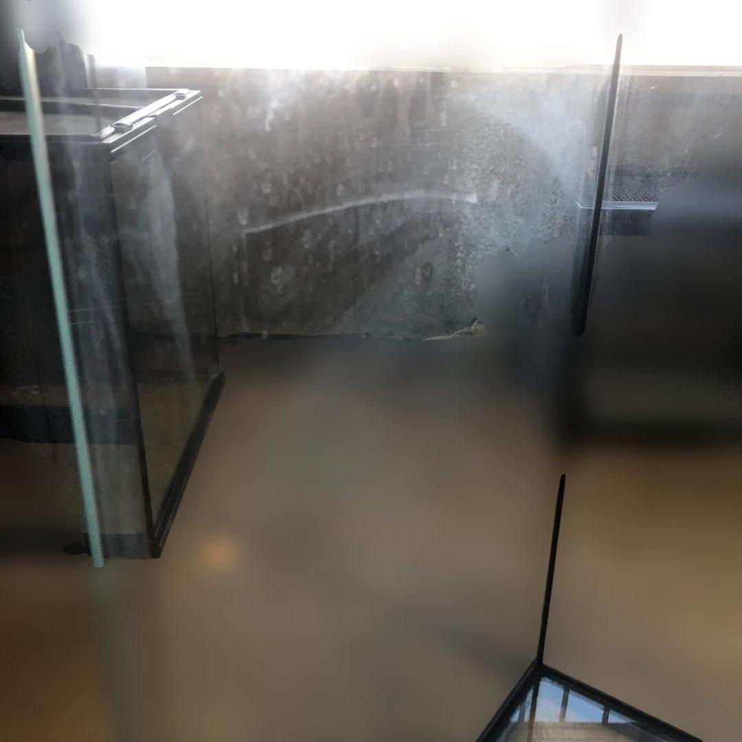 GEX エキゾテラ グラステラリウム 6060 爬虫類 ケージ