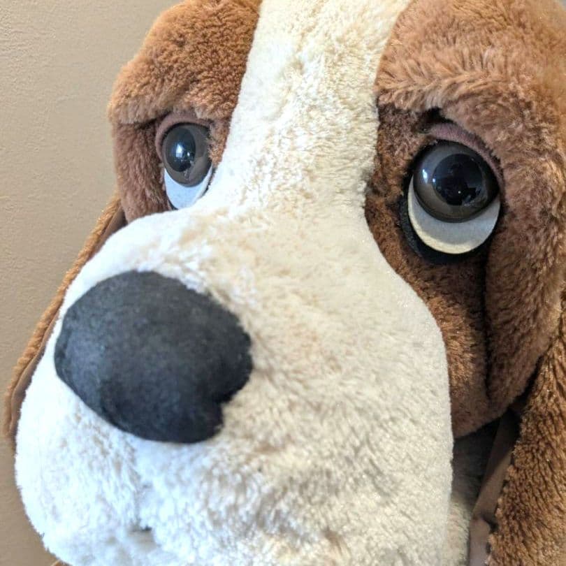 【特大・激レア】50周年記念 Hush Puppies バセットハウンド