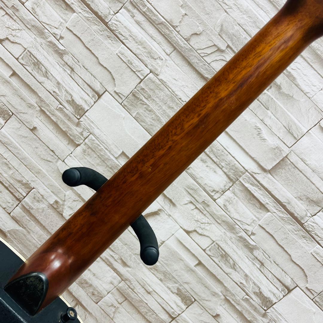 Pro Session エレアコ