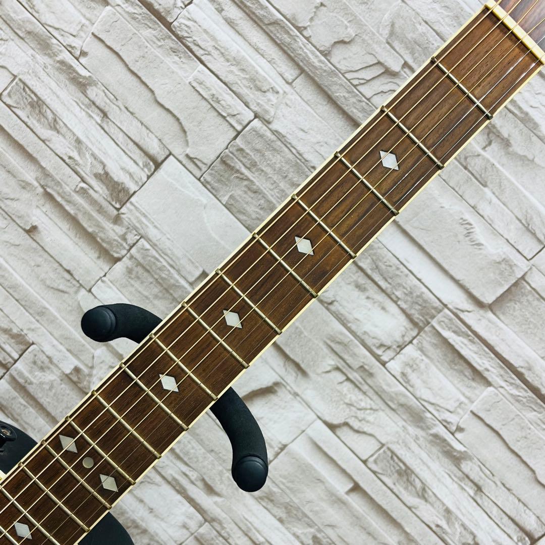 Pro Session エレアコ