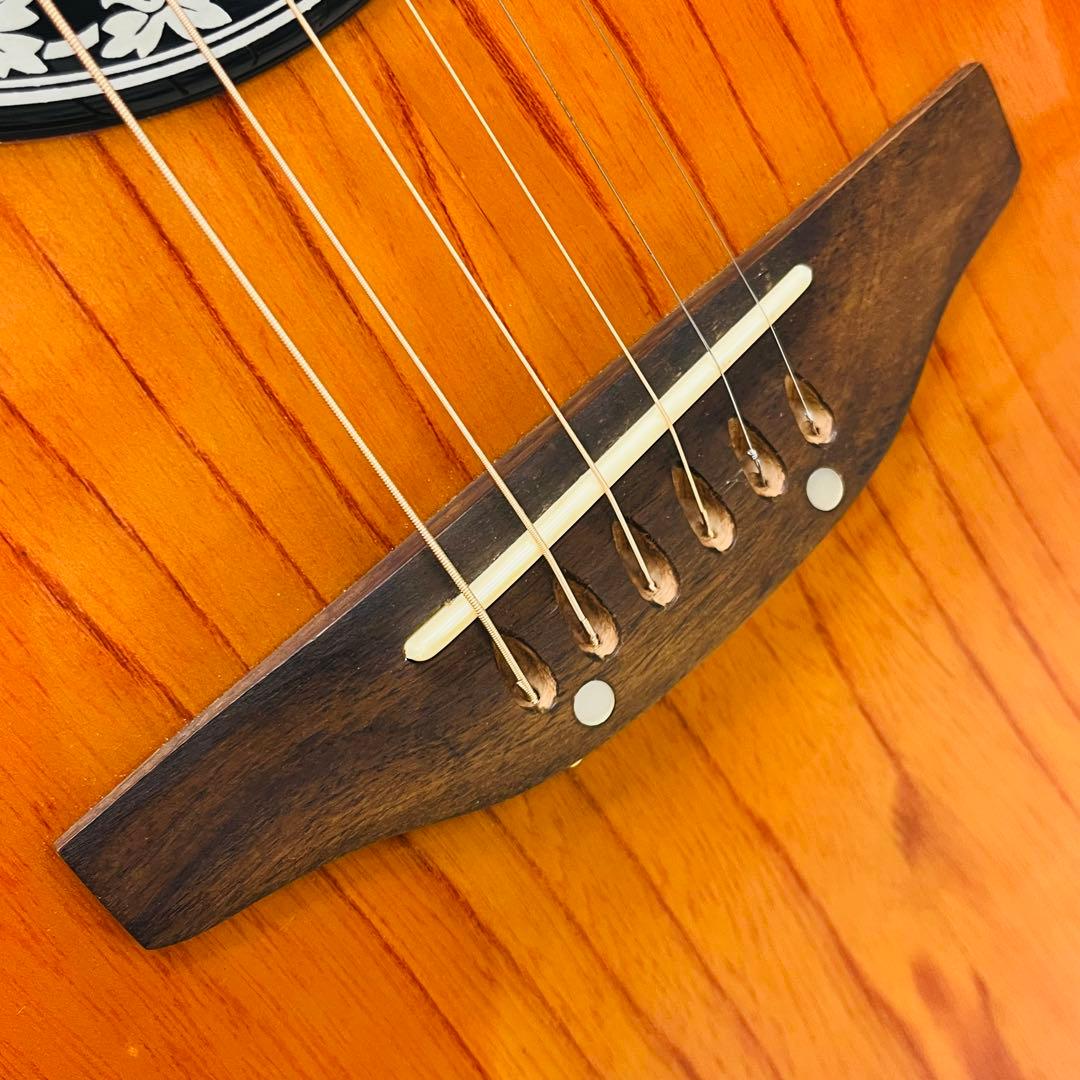 Pro Session エレアコ