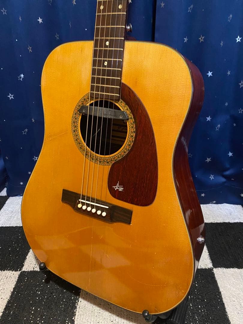 Takeharu Guitar WT150 (エレアコ仕様)