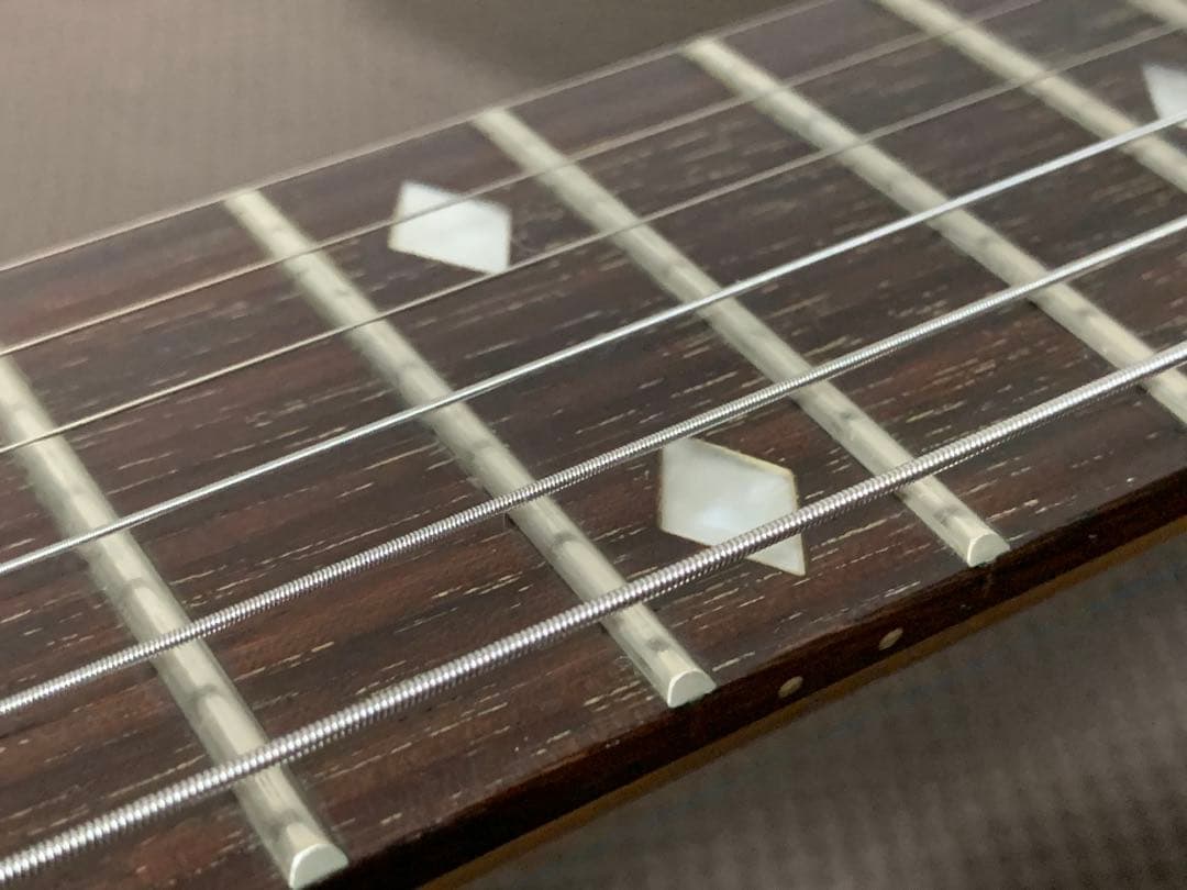 Chatting Bird Mockingbird モッキンバード hide