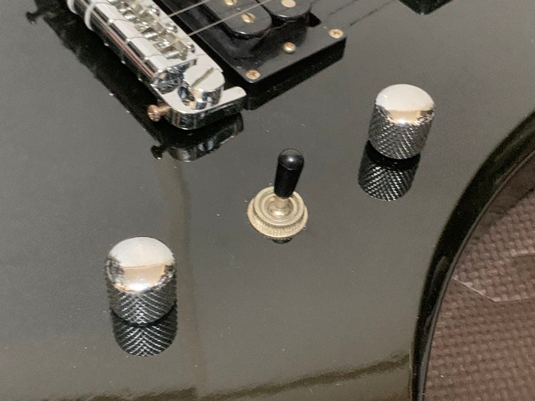 Chatting Bird Mockingbird モッキンバード hide