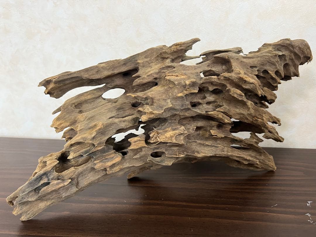 XM-212 流木　マシンガンウッド　アクアリウム　沈水確認済ブランチウッド