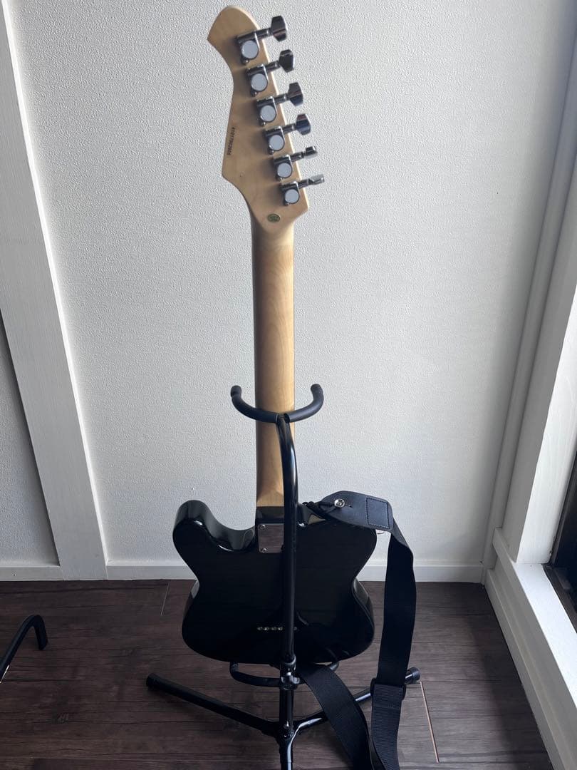 エレキギター 初心者入門セット付き