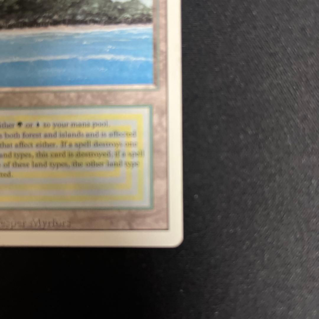 英語版　Tropical 