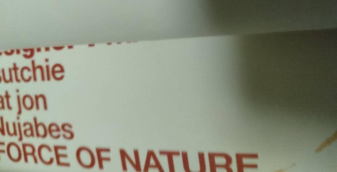 サムライチャンプルー B2サイズ ポスター SAMURAI CHAMPLOO