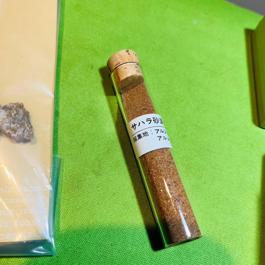 化石 まとめ売り　三葉虫　貝　シダ　ウニ　アンモナイト