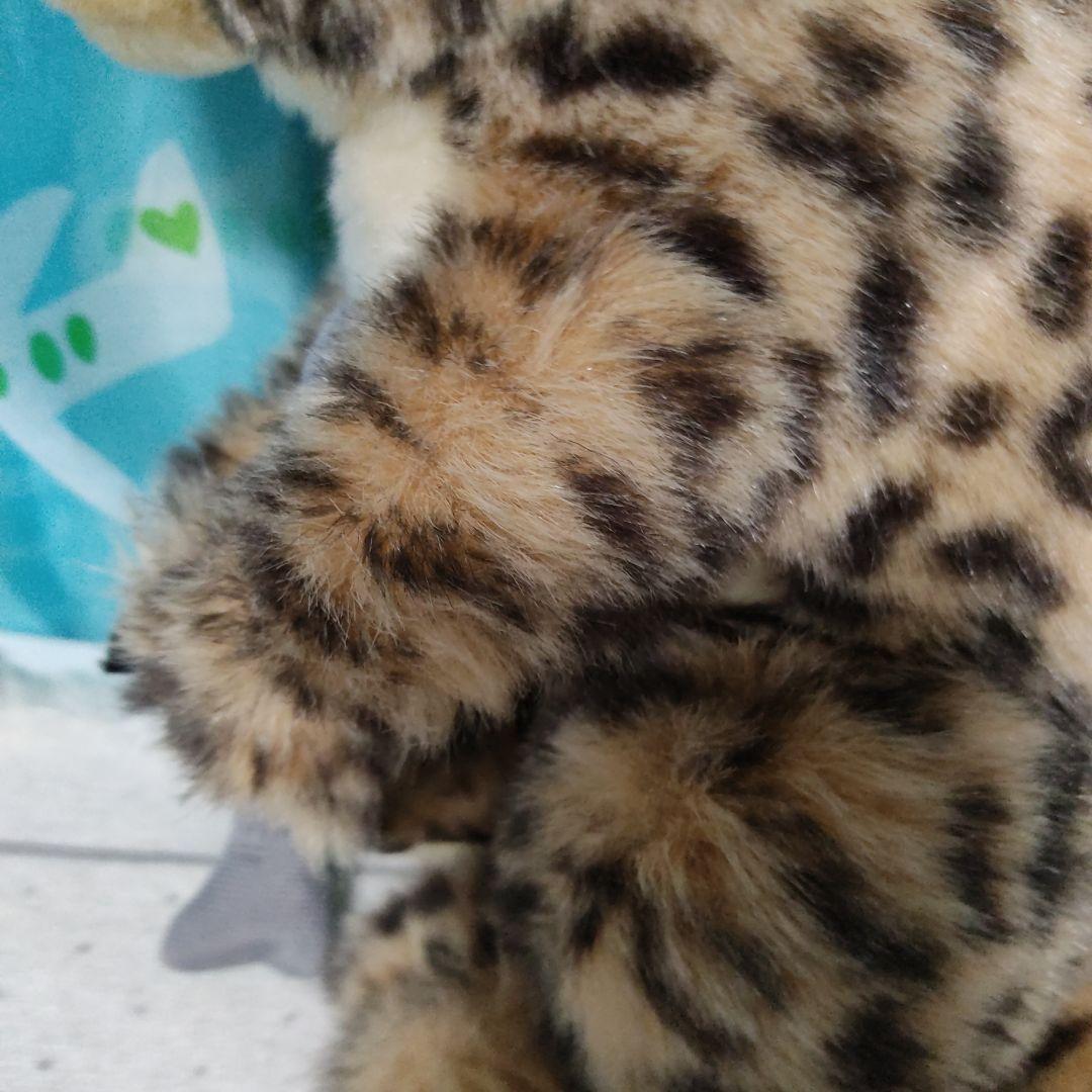 鳥羽水族館　ぬいぐるみ　スナドリネコ　ぬいぐるみ　漁り猫