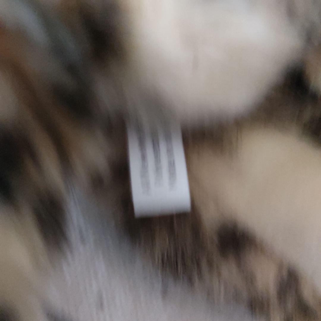 鳥羽水族館　ぬいぐるみ　スナドリネコ　ぬいぐるみ　漁り猫