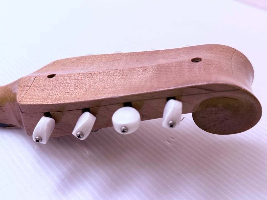 マンドリンSUZUKI M-100 ケースとセット