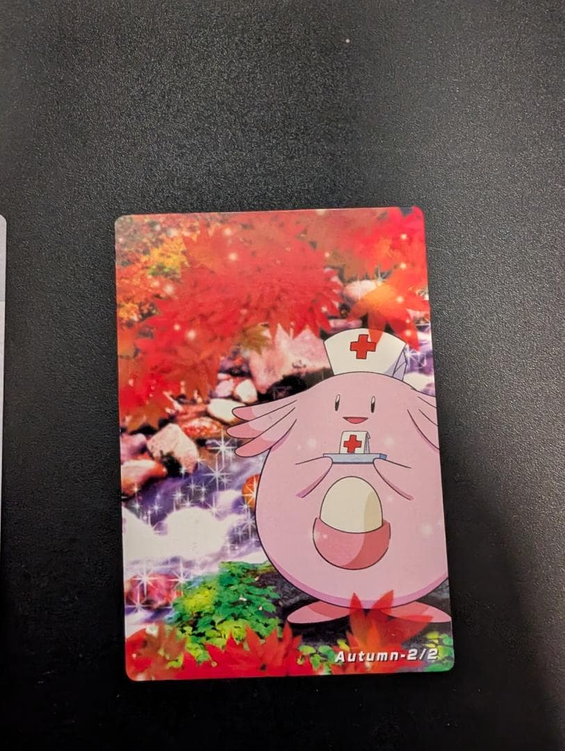 THE POKEMON WEEKLY Autumn1・2