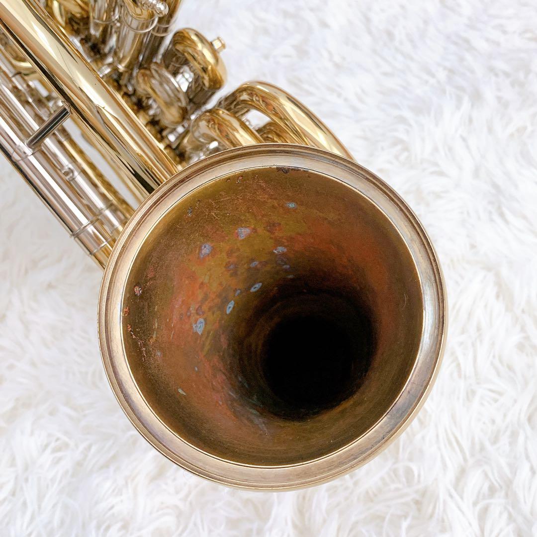 メンテナンス必要　ホルトン　フレンチホルン　ホルン　ケース付き