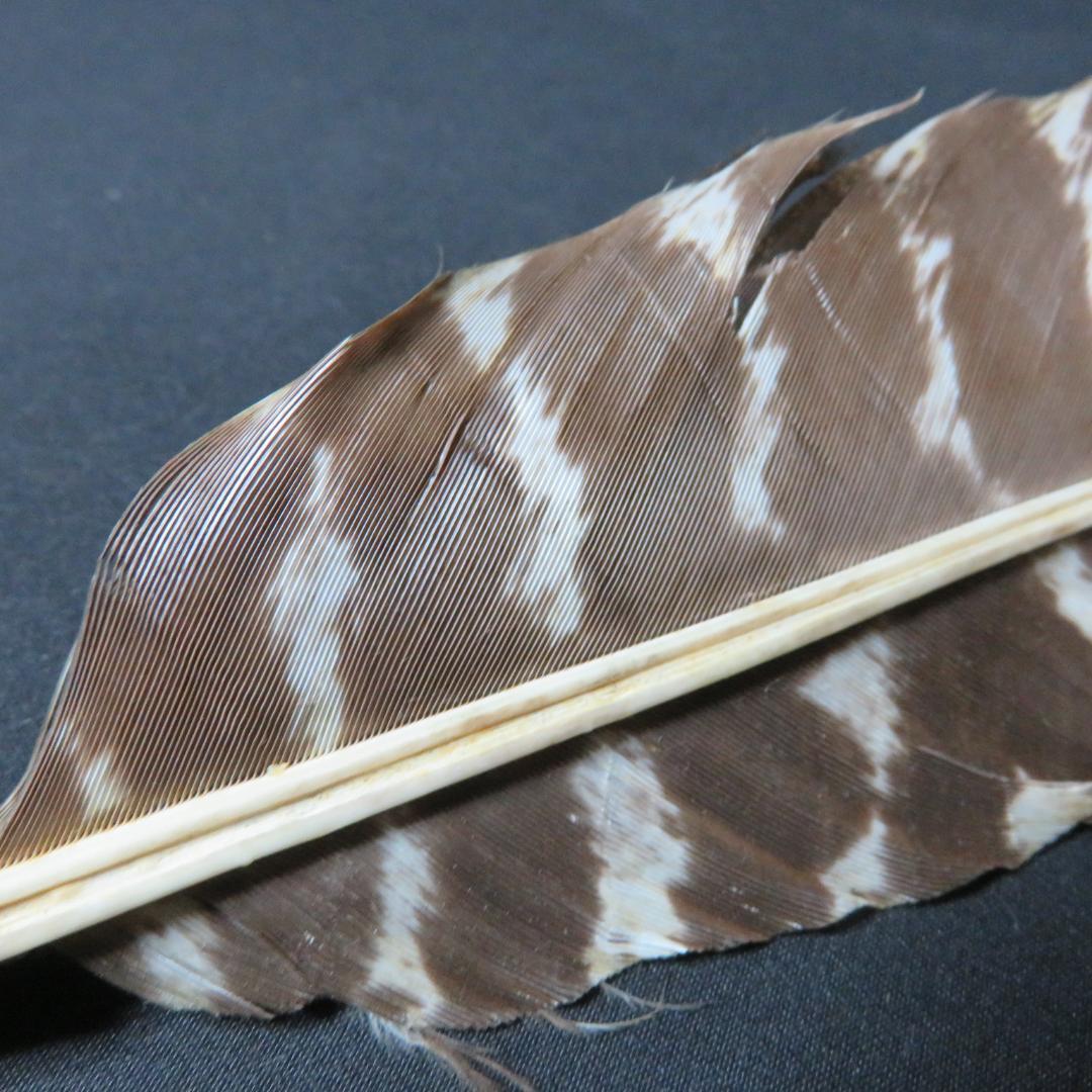 羽箒 2ケ 羽根 茶道具 茶器 茶会 茶の湯