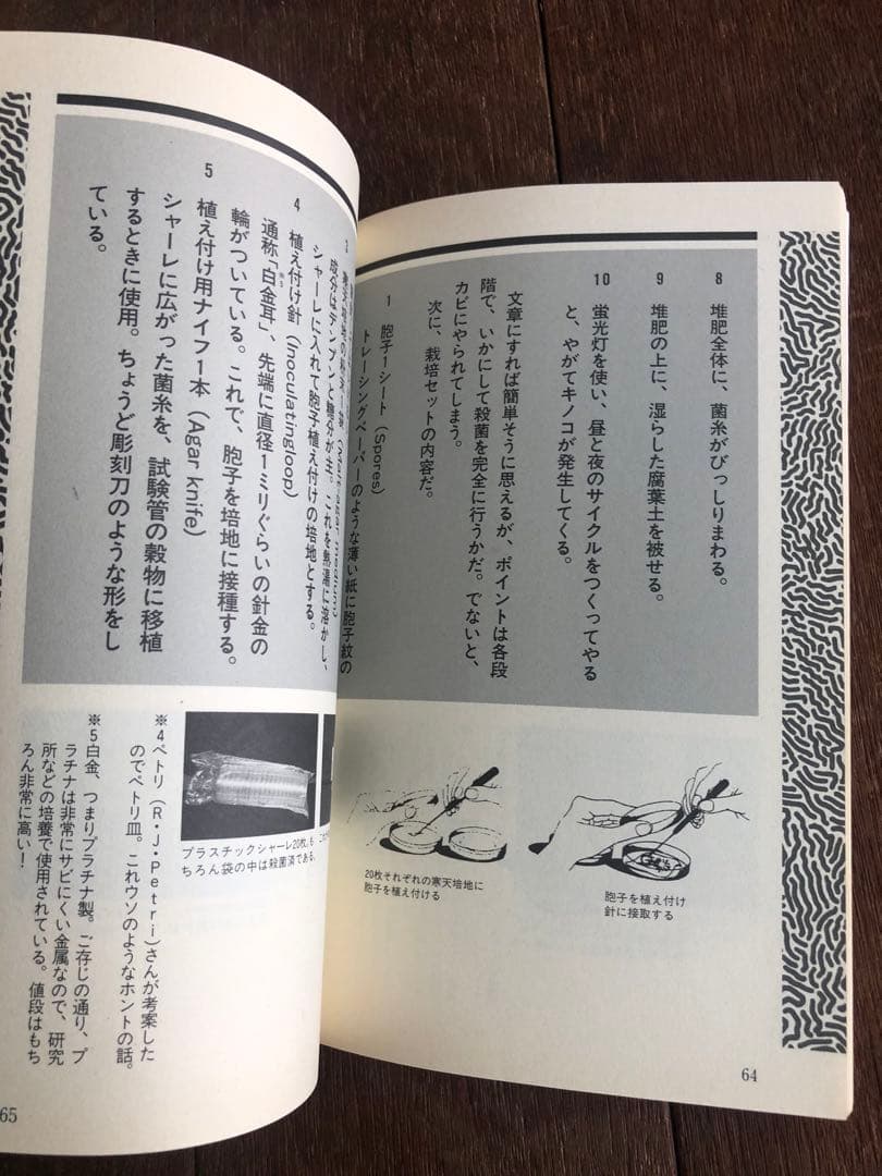 マジックマッシュルーム完全栽培マニュアル