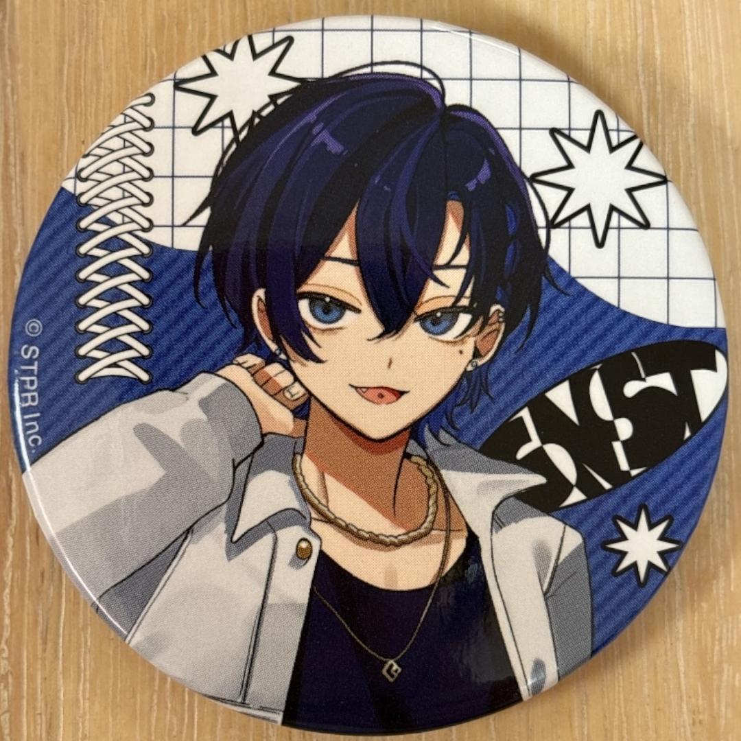 たちばな Summer ver. すにすて 缶バッジ 10点