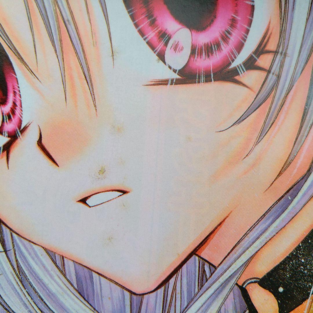 レア含☆桜姫華伝 紳士同盟クロス 扉絵他 50枚以上 種村有菜 少女漫画