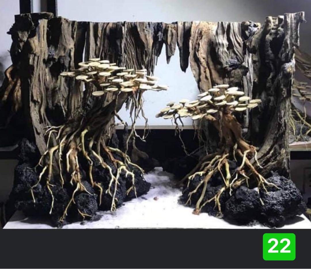 TTD 4522 【⭐︎ Esh様⭐︎】【美品・数量限定】