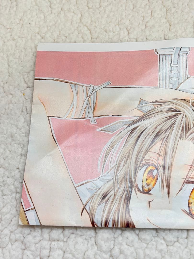 りぼん　種村有菜　付録　おまとめセット