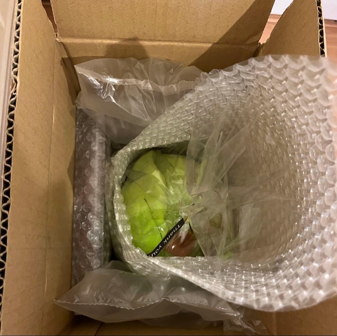 メメルぬいぐるみ＆リボン　ミセスグリーンアップル