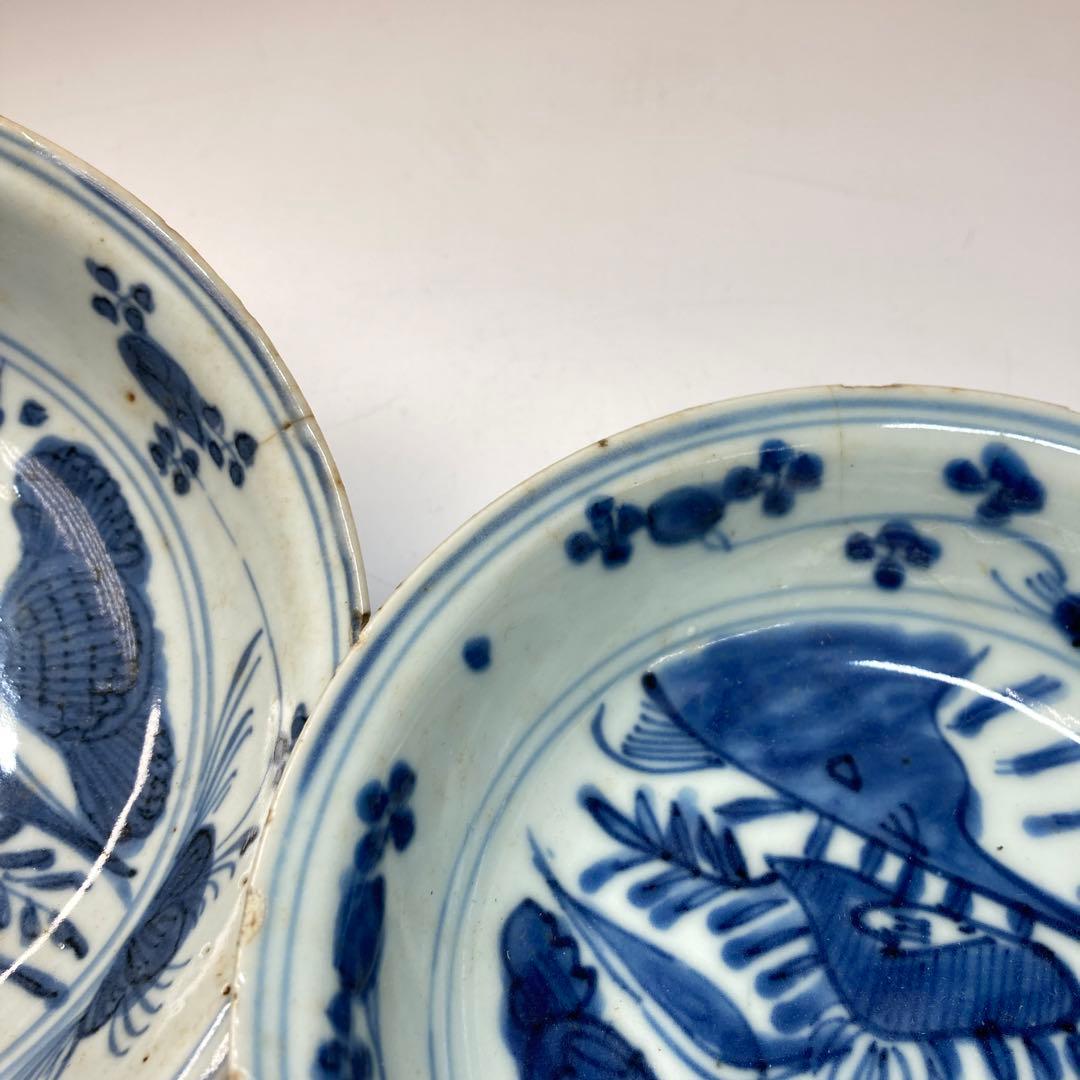 専用中国明時代　古染付向付5客　直径約14.5㎝　東Y6-0129☆2Fトトオカ