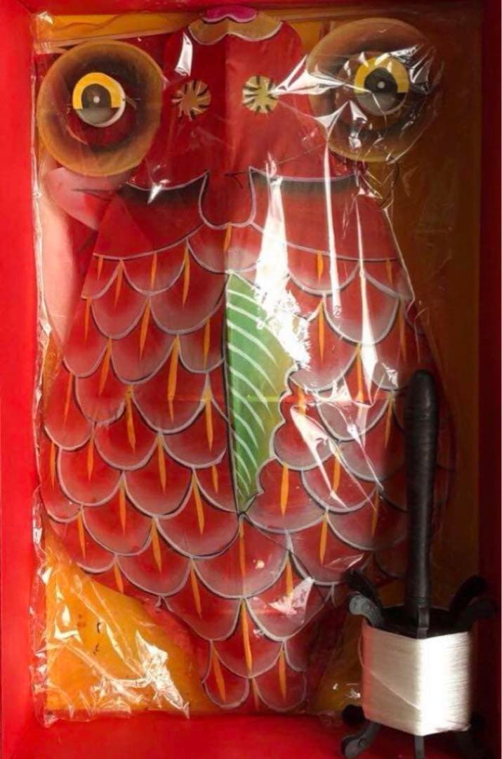 #スカイスポーツ カイト 中国　濰坊　風箏　魚凧　海外商品　风筝 kite 美品