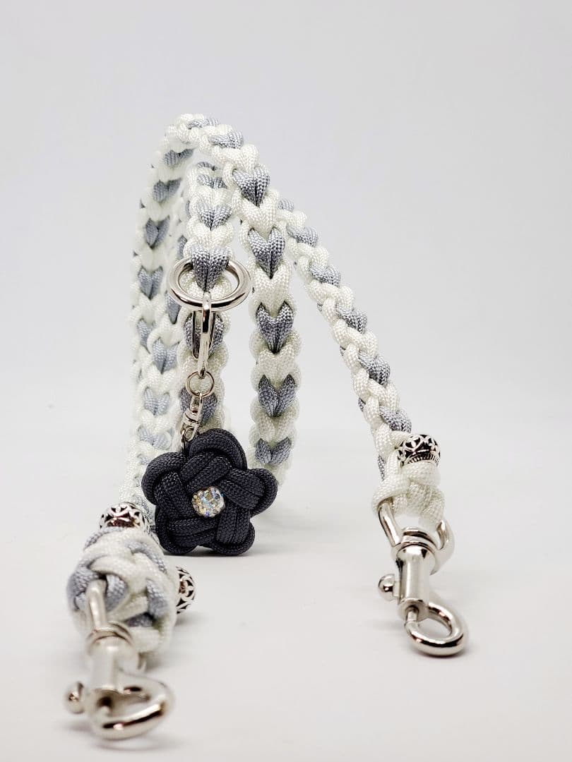 モダンクリアカフェリード