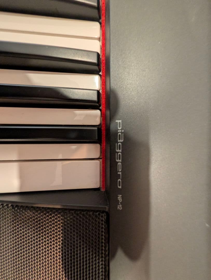 美品・送料無料 YAMAHA piaggero NP-12B 2021年製