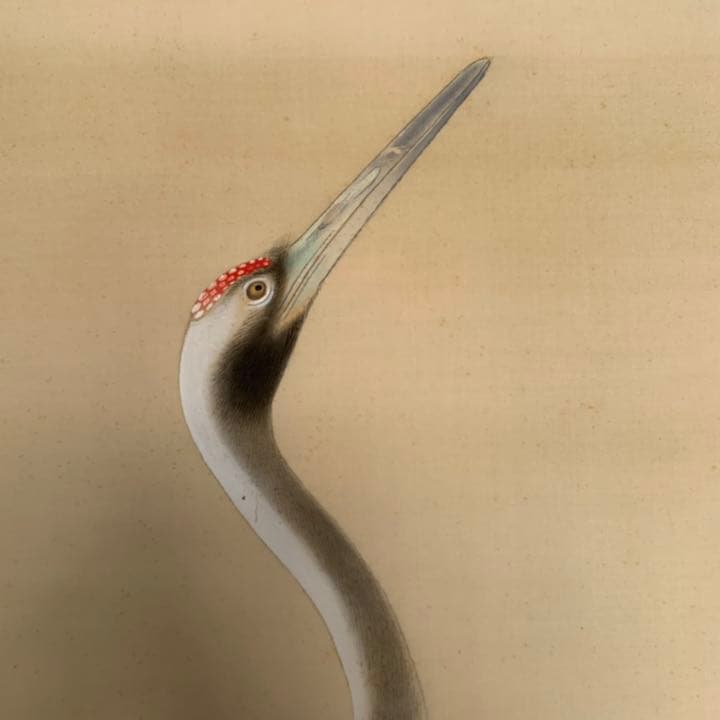 岡茂以　双鶴図　鶴の絵　日本画　掛軸　縁起物