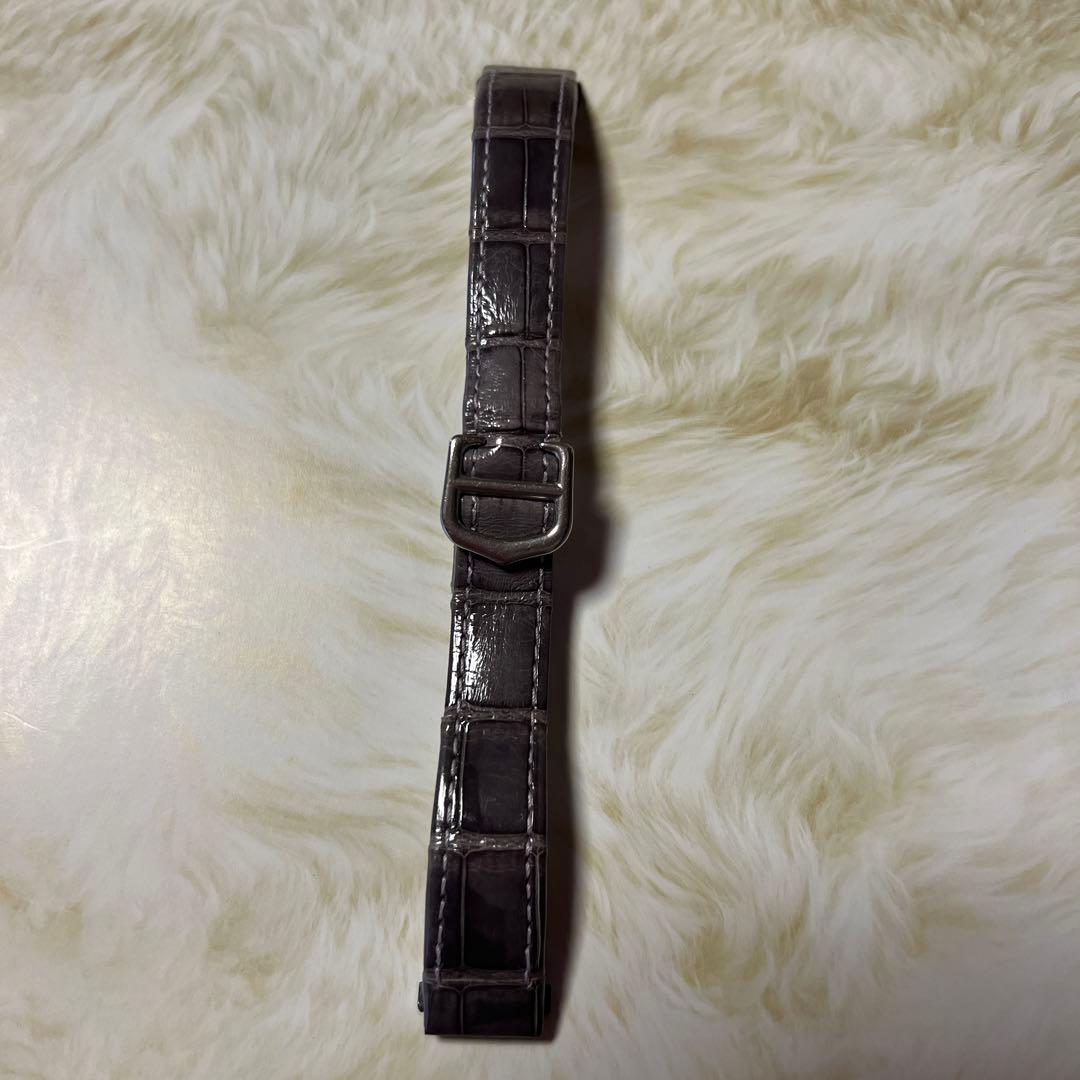 サウルスカルティエ　ロードスターレディース　替えベルト