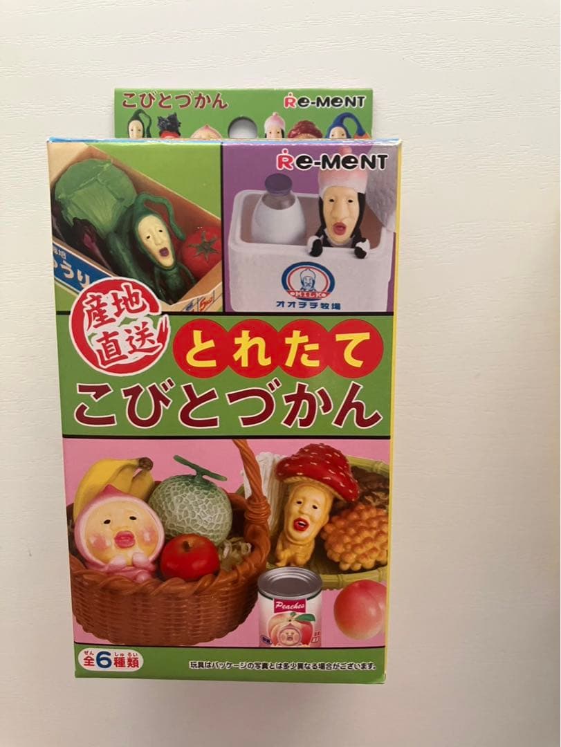 産地直送　とれたてこびとづかん コンプリートセット