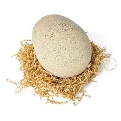 □新品 タカラトミー うまれて！ウーモ ジュラシックワールド T-レックスエッグ